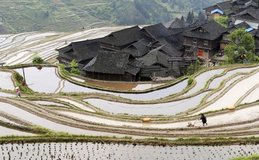 A Look at Life in China
