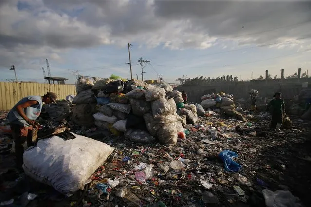 Filipinos gather scraps at a dumpsite in Manila, Philippines on Thursday, January 8, 2015. (Photo by Aaron Favila/AP Photo)