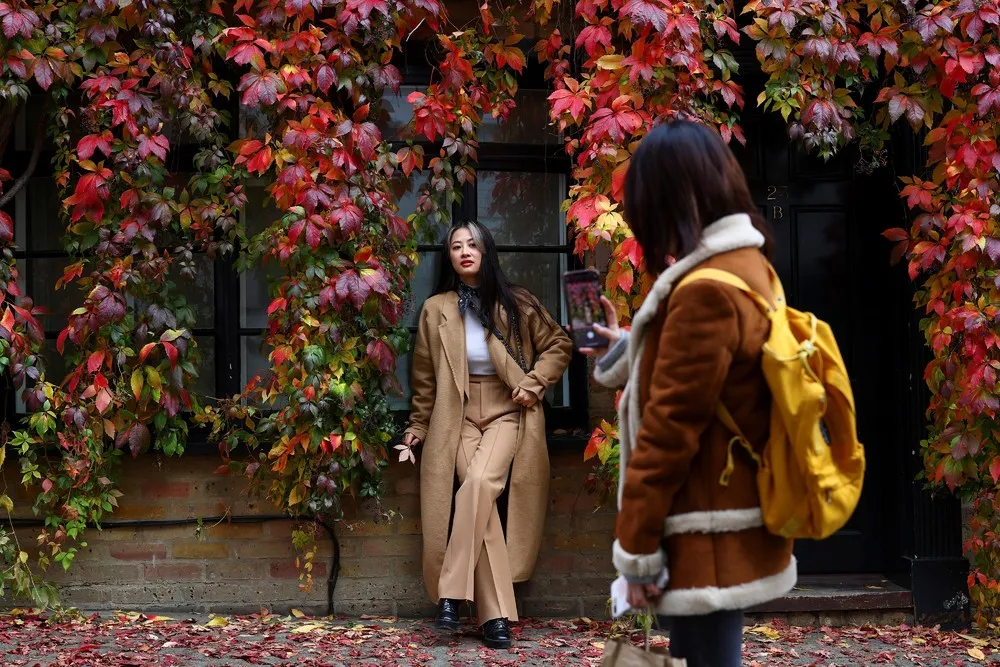 Pictures of the Year 2020, Part 62/82