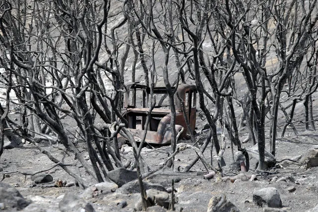 A vintage vehicle is seen through the devastation brought by the Cranston Fire near  Mountain Center, California, USA, 29 July 2018. Several fires in California have left at least six people dead, destroyed hundreds of homes, burned thousands of acres and caused the evacuation of at least 50,000. (Photo by Mike Nelson/EPA/EFE)