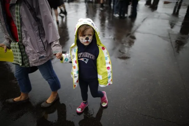 Four-year-old Sadie wears a New England Patriots jersey as she walks through the rain in downtown Phoenix before Sunday's NFL Super Bowl XLIX, Arizona January 30, 2015. (Photo by Lucy Nicholson/Reuters)