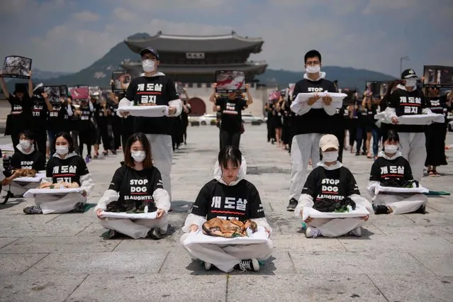 Activists from animal rights groups “Animal Liberation Wave” and “Last Chance for Animals” hold dead puppies retrieved from a dog meat farm, as they protest against the dog meat trade in Gwanghwamun Plaza in central Seoul on July 17, 2018. (Photo by Ed Jones/AFP Photo)