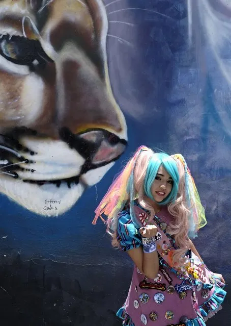 A cosplayer who is a fan of Japanese anime culture, poses in a square in La Paz, Bolivia, January 19, 2016. (Photo by David Mercado/Reuters)