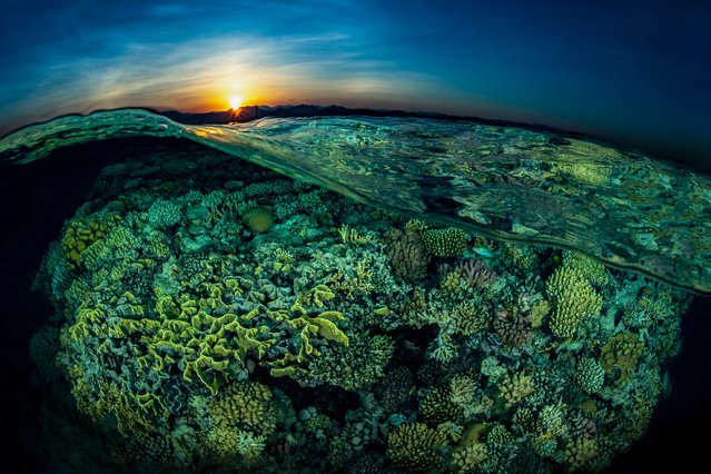 Reefscapes, 2nd Place. “Sunspit” in Red Sea, Egypt. (Photo by Tobias Friedrich/The Ocean Art 2018 Underwater Photography Competition)