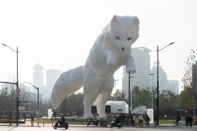 A giant “Arctic fox” sculpture is seen in Shanghai, China, January 4, 2024. (Photo credit should read CFOTO/Future Publishing via Getty Images)