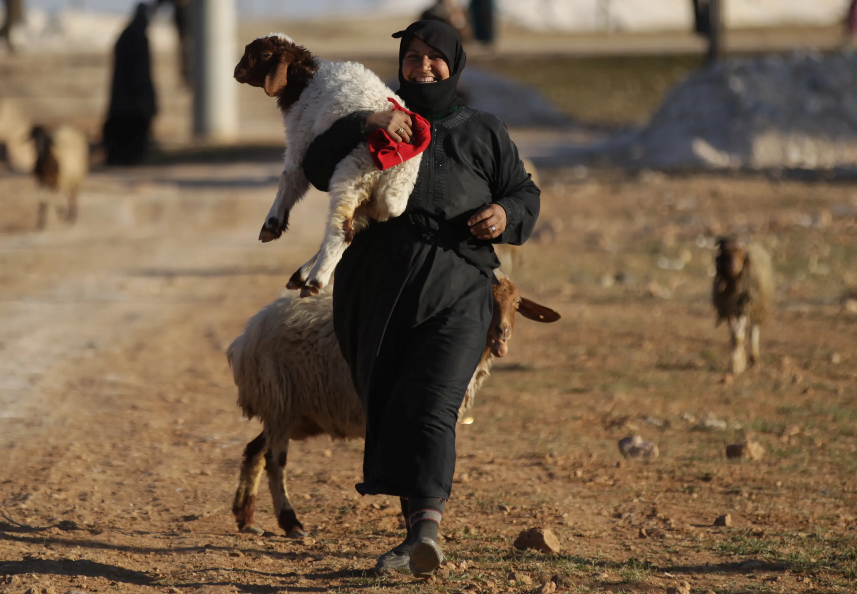 Syria this Week
