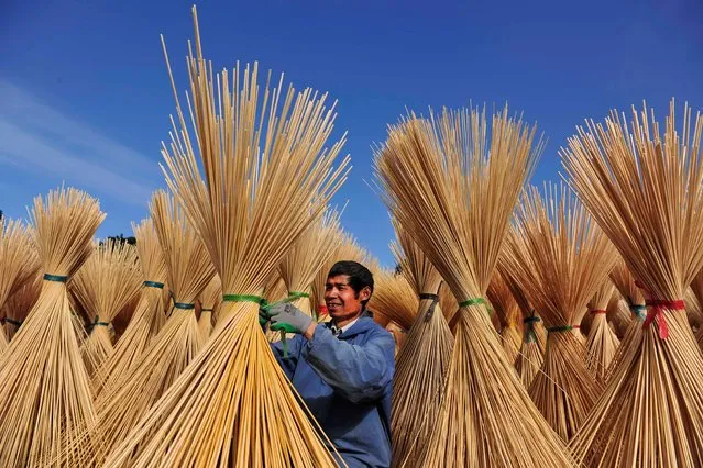 A farmer dries moso bamboo sticks at Wanzai County on November 24, 2021 in Yichun, Jiangxi Province of China. (Photo by Deng Longhua/VCG via Getty Images)