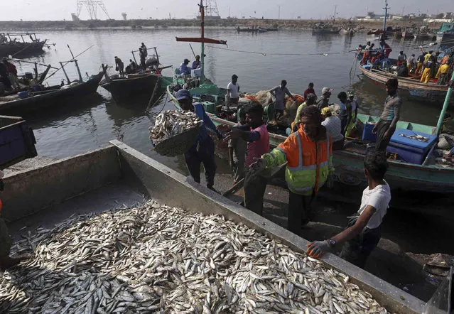 Pakistan fishermen unload their catch, in Karachi Pakistan, Thursday, December 2, 2021. (Photo by Fareed Khan/AP Photo)