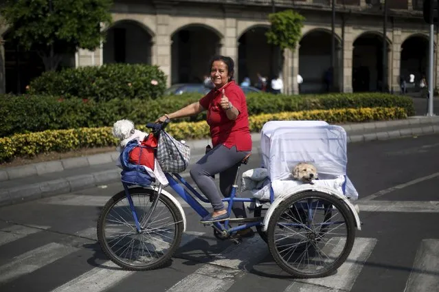 A woman gestures after taking part with other cyclists to form a shape of a bicycle with the aim of promoting cycling as a mode of transport and to commemorate Bicycle Day, which is celebrated April 19 annually, at Zocalo square in Mexico City, Mexico, April 10, 2016. (Photo by Edgard Garrido/Reuters)