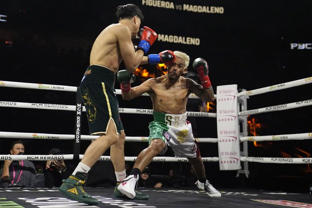 Brandon Figueroa lands a left to Jessie Magdaleno in a featherweight title fight Saturday, May 4, 2024, in Las Vegas. (Photo by John Locher/AP Photo)