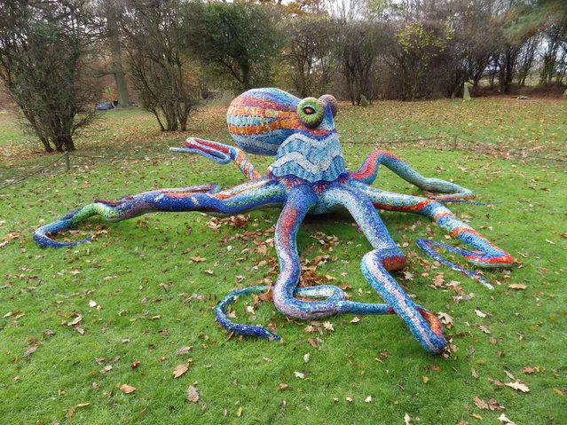 Octopus By Marialuisa Tadei