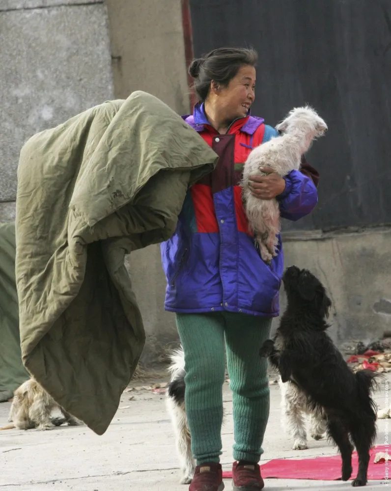 Animal Lover Dai Shuqing