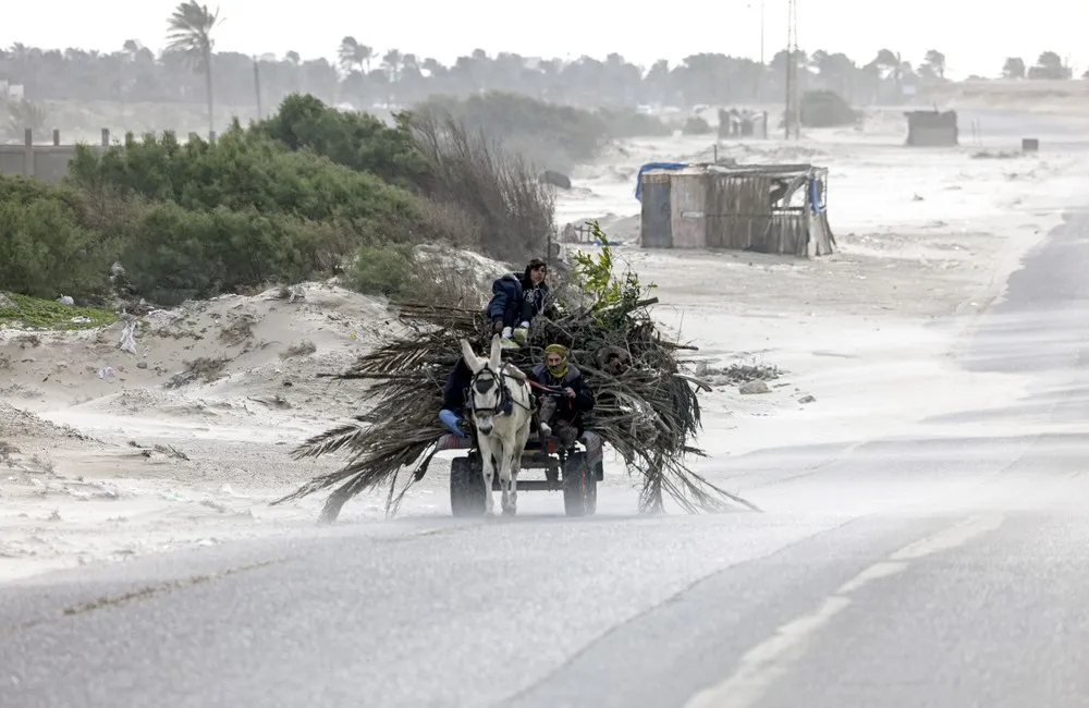 Palestinians Daily Life