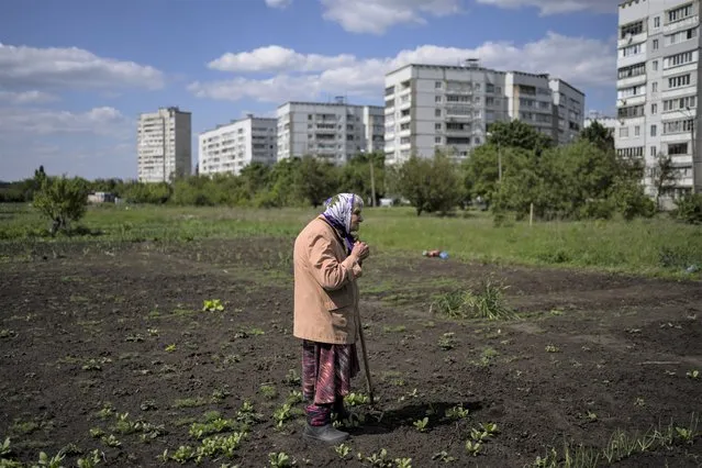 Lyudmila, 85, tends to the garden in Kharkiv, eastern Ukraine, Monday, May 23, 2022. (Photo by Bernat Armangue/AP Photo)