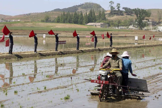 Farmers plant rice using rice seedling transplanter at Chongsan Cooperative Farm in Kangso District, Nampho, North Korea, Monday, May 9, 2022. (Photo by Cha Song Ho/AP Photo)