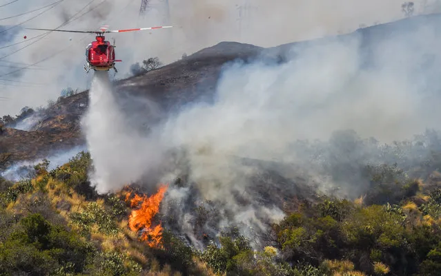 A helicopter drops water on a wildfire burning along the foothills above Brookridge Road in Duarte, Calif., Monday, June 20, 2016. Police in the city of Azusa and parts of Duarte ordered hundreds of homes evacuated. Others were under voluntary evacuations. (Photo by Walt Mancini/Pasadena Star-News via AP Photo)