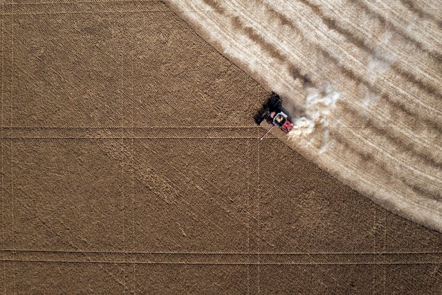 In this image taken with a drone, Jason Kwapil operates a combine during soybean harvesting on the Voss farm near Palo, Iowa, Wednesday, October 2, 2024. (Photo by Nick Rohlman/The Gazette via AP Photo)