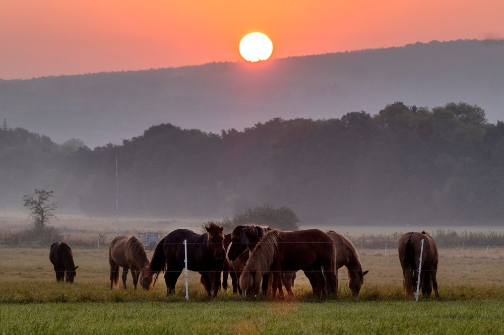 Sunrises and Sunsets
