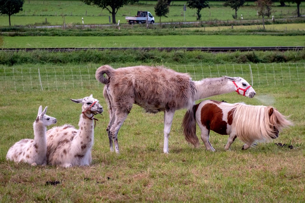 Pictures of the Year 2023, Part 169/224