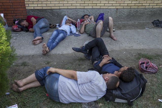 Syrian migrants take a rest in the village of Horgos, near the Serbian border with Hungary August 27, 2015. (Photo by Marko Djurica/Reuters)