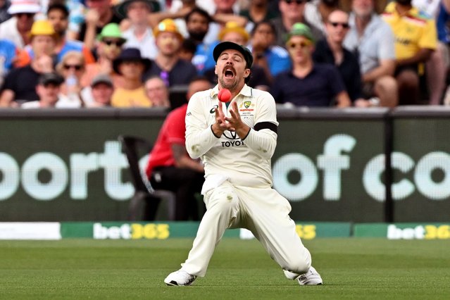 Australian fieldsman Travis Head takes a catch to dismiss Indian batsman Nitish Kumar Reddy on the first day of the second cricket Test match between Australia and India at the Adelaide Oval in Adelaide on December 6, 2024. (Photo by William West/AFP Photo)