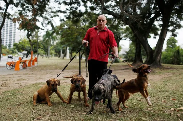 Manfred Kulitc, a 49-year-old mathematician, poses with his dogs for a portrait in Rio de Janeiro, Brazil, July 20, 2016. When asked what he felt about Rio de Janeiro hosting the Olympics, Manfred said, “I don't care too much about the Olympics, this country has no infrastructure for an event like this. The real problems of the population have not been resolved”. He is also concerned for the safety of tourists. (Photo by Pilar Olivares/Reuters)