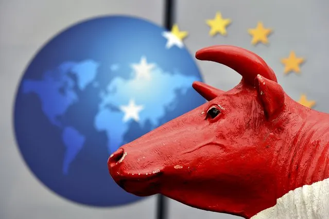 The head of a cow statue is seen in front of a European logo as farmers and dairy farmers from all over Europe take part in a demonstration outside a European Union farm ministers' emergency meeting at the EU Council headquarters in Brussels, Belgium September 7, 2015. (Photo by Eric Vidal/Reuters)