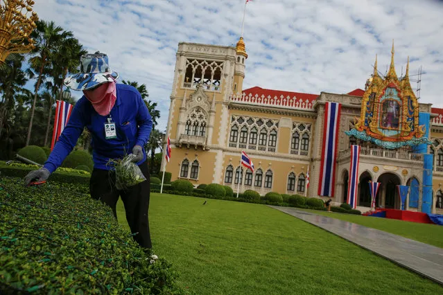 A gardener works at the government house garden in Bangkok, Thailand August 8, 2016. (Photo by Jorge Silva/Reuters)