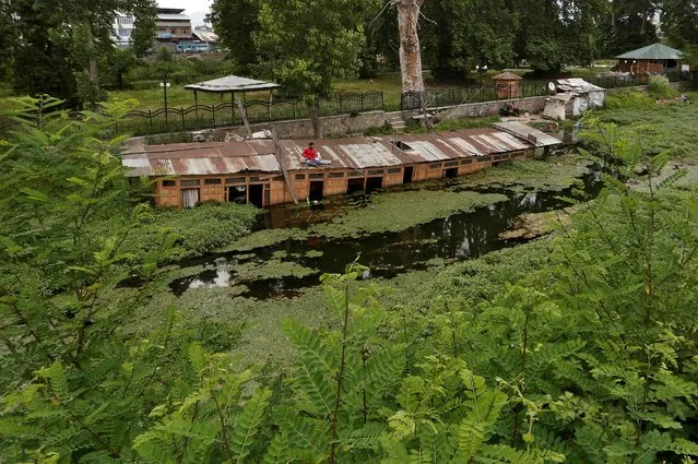 A man fishes in the algae-covered waters of a canal during an extended lockdown to slow the spreading of the coronavirus disease (COVID-19) in Srinagar on May 28, 2020. (Photo by Danish Ismail/Reuters)