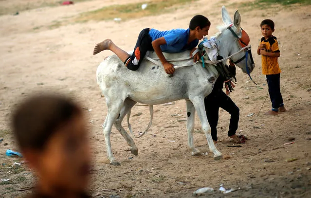 A Palestinian boy rides a donkey outside his family's house in Beit Lahiya town in the northern Gaza Strip August 4, 2016. (Photo by Mohammed Salem/Reuters)