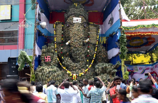 Indian Hindu devotees gather in front of a statue of the elephant-headed Hindu god Ganesh that was made out 3.5 tons of pineapples during the Ganesh Chaturthi festival in Chennai on September 5, 2015. The Ganesh Chaturthi festival, a popular religious festival which is annually celebrated across India culminates with the immersion of idols of Ganesh in the Bay Of Bengal and local water bodies. (Photo by Arun Sankar/AFP Photo)