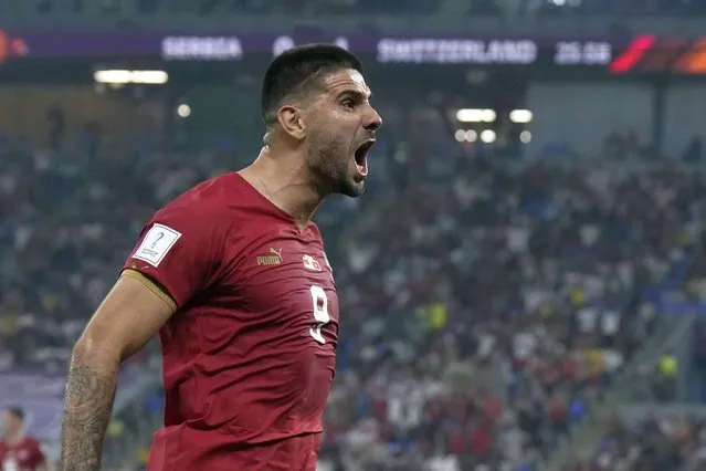 Serbia's Aleksandar Mitrovic celebrates after scoring his side's first goal during the World Cup group G soccer match between Serbia and Switzerland, in Doha, Qatar, Friday December 2, 2022. (Photo by Ricardo Mazalan/AP Photo)