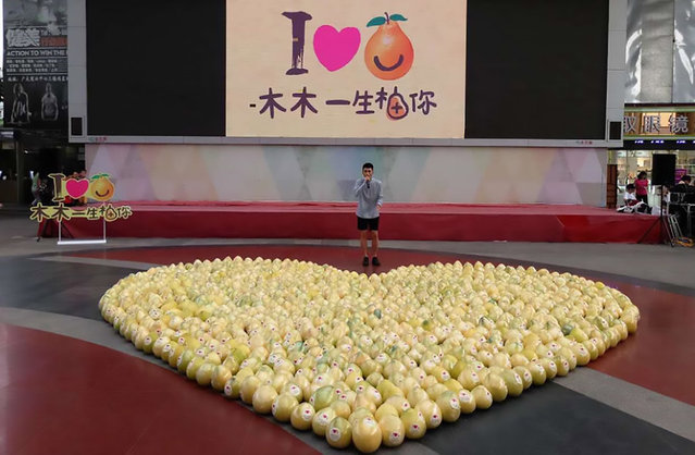 A young man who made a giant heart from hundreds of fruits for a public love confession was left humiliated when his advances were rejected by the girl of his dreams. The unnamed boy, a third-year university student, laid out the round pomelo (Citrus maxima) fruits outside a crowded shopping centre in Guangzhou, capital of South China's Guangdong Province on September 6, 2016, where he arranged the meet-up with the girl known as Mu Mu. Mu Mu, who arrived with her girlfriends from university, is a year above the young man at school, but her seniority did not prevent him from pulling out all the stops to get his girl. Occupying the public square in the shopping area, the man laid out some 999 pomelos into the shape of a giant heart, and later borrowed a microphone to very publicly announce his love for the girl. 