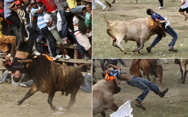 Two people died and many others were injured while running with the bulls during a festival in northern Colombia on March 24, 2013, officials said. Local officials said the two people died from injuries they sustained while in the bullring, including reports of one being gored in the heart, during a festival Sunday in Arjona near Cartagena, Colombia Reports reported Monday. There were conflicting reports on the number of people injured, with some sources saying up to 44 people were wounded, Colombia Reports said. (Photo by Joaquín Sarmiento/Reuters)