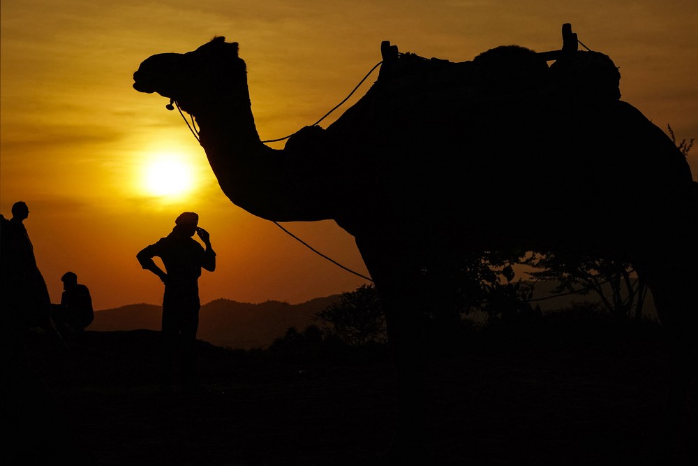 Some Photos: Silhouettes