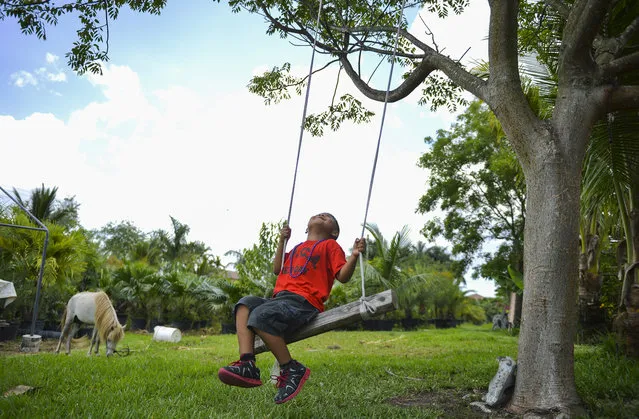 Daniel Chavez, 7, smiles while swinging at the home of Nora Sandigo-Otero, who was holding a luncheon for children that she holds guardianship over on June 7, 2014 in Miami, Fl. Santigo founded American Fraternity which mainly serves the Latino community with living expenses, food and legal services. (Photo by Ricky Carioti/The Washington Post)