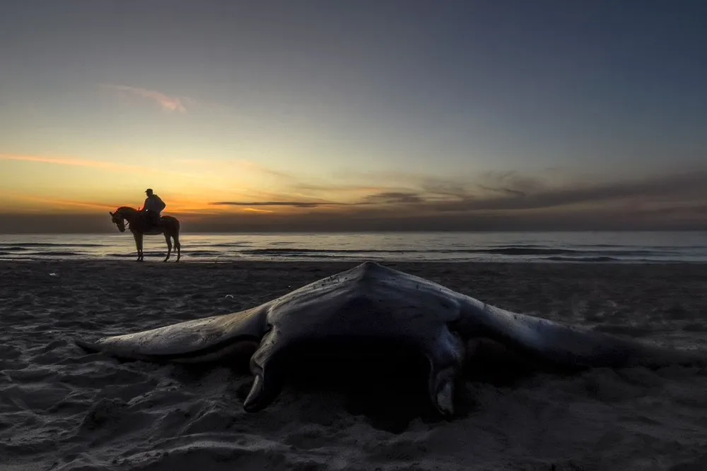 Sunrises and Sunsets