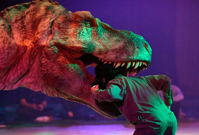 Actors perform in a scene during the “Dino Safari” show in Tokyo, Japan, 25 April 2018. The Dino Safari show features dinosaurs moving in a realistic way thanks to the Dino-Tronics mechanism that enable the dinosaurs to walk, move their heads and jaws. The event will run from 26 April to 05 May 2018. (Photo by Franck Robichon/EPA/EFE)