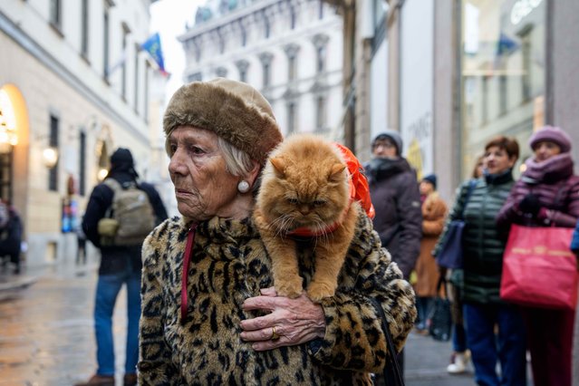 A woman with her cat at the funeral chapel for Italian singer Ornella Vanoni at the Piccolo Teatro Grassi, in Milan, Monday, November 24, 2025. (Photo by Claudio Furlan/LaPresse via AP Photo)