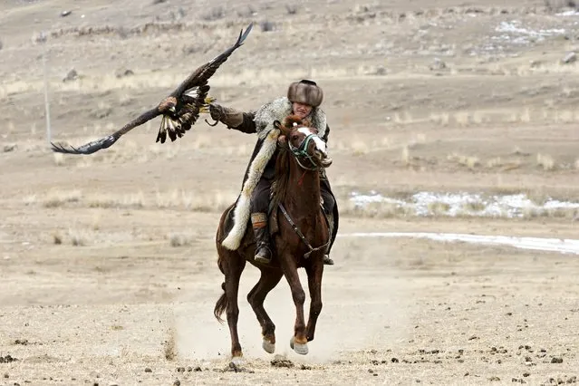 A Kyrgyz man rides a horse holding a golden eagle for an eagle hunt during the hunting festival “Salburun” in Tuura-Suu, a small village nestled among the mountains, about 250 km. (156 miles) south-east of Bishkek, Kyrgyzstan, Tuesday, February 23, 2021. Salburun comes from the nomadic tradition of hunting and protecting herds from predators such as wolves. (Photo by Vladimir Voronin/AP Photo)