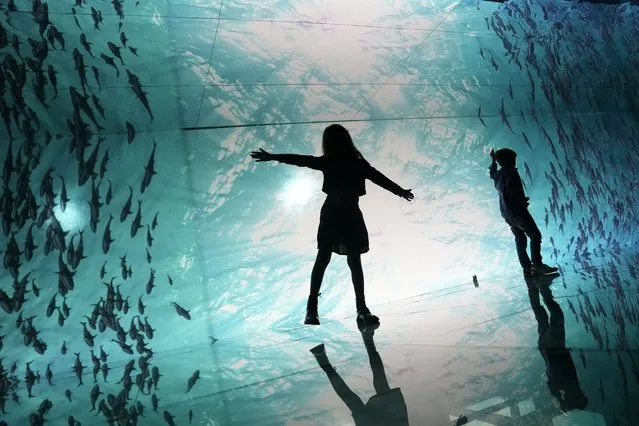 Children walk amid a mirror installation titled “Sea of Mirrors”, featuring digital images of fish in the ocean during a preview tour the day before the show's public opening at the AquaRio aquarium in Rio de Janeiro, Brazil, Wednesday, June 14, 2023. (Photo by Silvia Izquierdo/AP Photo)