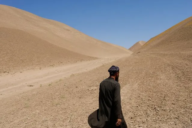 An Afghan man walks in his drought-hit wheat field in Nahr-e-Shahi district in Balkh province, Afghanistan on August 4, 2023. (Photo by Ali Khara/Reuters)