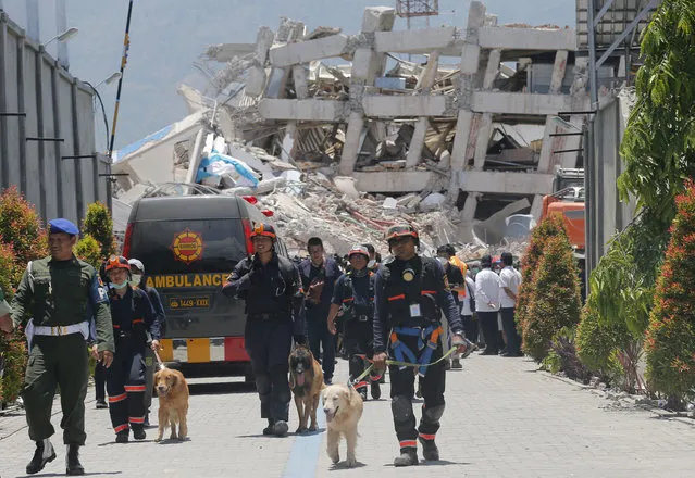 A police K9 unit search team take part continue the search for victims in the earthquake-damaged Roa-Roa Hotel in Palu, Central Sulawesi Indonesia, Wednesday, October 3, 2018. (Photo by Tatan Syuflana/AP Photo)