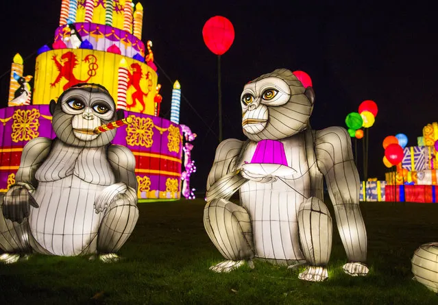Longleat Festival of Light, thought to be Europe’s largest Chinese lantern festival, takes place at Longleat House, UK on December 10, 2016 to celebrate the safari park’s 50th anniversary. (Photo by Brad Wakefield/Rex Features/Shutterstock)