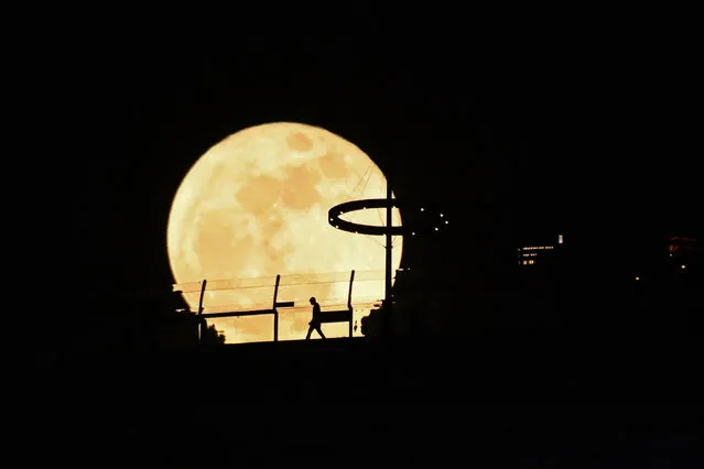 A Super blue moon rises behind Marina Bay Sands observation deck in Singapore on August 31, 2023. (Photo by Roslan Rahman/AFP Photo)