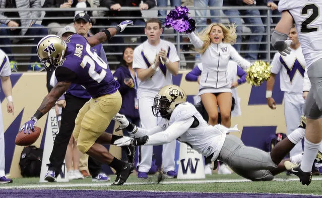 Washington running back Salvon Ahmed, left, scores a touchdown ahead of Colorado linebacker Davion Taylor during the first half of an NCAA college football game, Saturday, October 20, 2018, in Seattle. (Photo by Ted S. Warren/AP Photo)