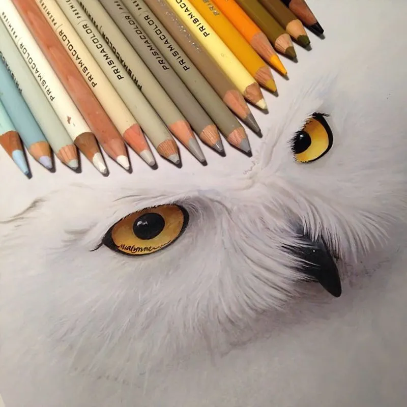 Hyperrealism Drawings with Pencil by Karla Mialynne