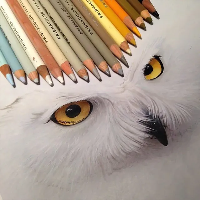 "Hyperrealism Drawings With Pencil By Karla Mialynne