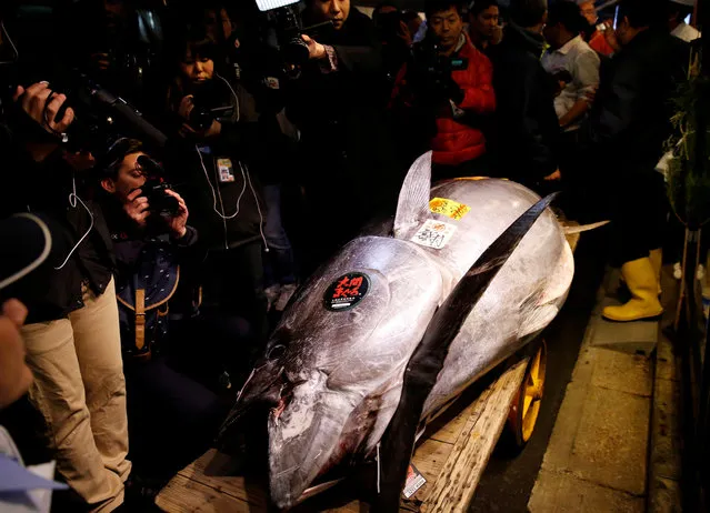 Journalists film a 278kg bluefin tuna, priced with a 333,600,000 yen bid is pictured in front of sushi restaurants Sushi Zanmai in Tokyo, Japan, January 5, 2019. (Photo by Kim Kyung-Hoon/Reuters)