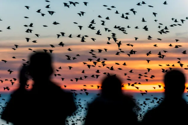 Sunset on Brighton beach on February 24, 2019 in Brighton, England. (Photo by Andrew Hasson/Getty Images)